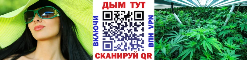 цены наркотик  Пущино  Каннабис индика 